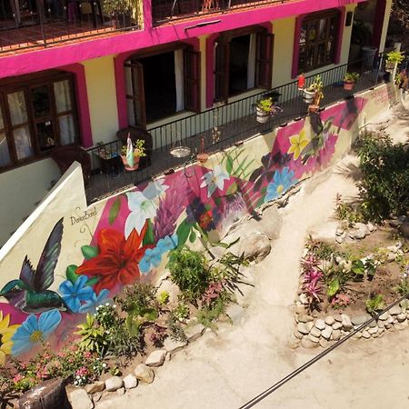 La Posada Pacifica Puerto Vallarta Extérieur photo